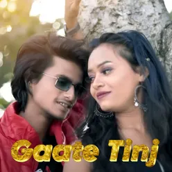 Gaate tinj